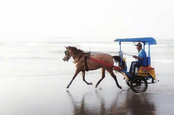 Foto Pantai Parangkusumo Foto Pantai Parangkusumo